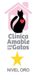 clinicaamablegatos1