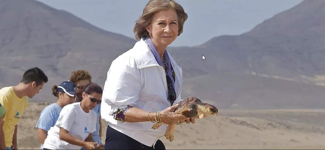 La Reina Sofía participa junto a Aragó HV en la suelta de tortuga marina rescatada en Mallorca